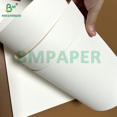 Papel de copo extrudado branco de 170-320gsm com 15 PE em 70 x 100cm