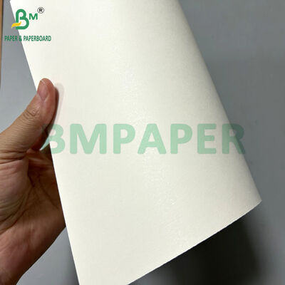 Papel de copo extrudado branco de 170-320gsm com 15 PE em 70 x 100cm