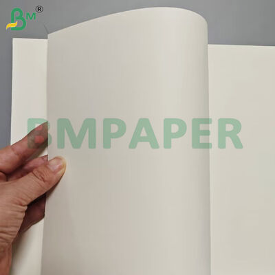 Folhas de papel para caixas de alimentos com revestimento PET de 175gsm+10gsm resistentes ao calor