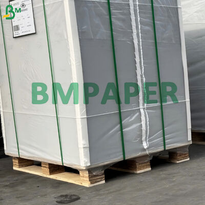 Cartão para embalagens dobráveis GC2 branco totalmente revestido de 250gsm com verso manila para produtos de panificação