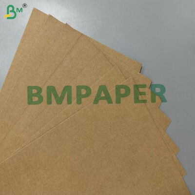 Papel Base de Bagaço de Cana 200gsm 300gsm Compostável à Prova de Gordura de Grau Alimentício 100% Matéria-Prima para Louças Descartáveis