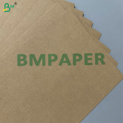 Papel Base de Bagaço de Cana 200gsm 300gsm Compostável à Prova de Gordura de Grau Alimentício 100% Matéria-Prima para Louças Descartáveis