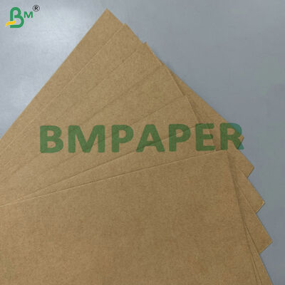 Papel Base de Bagaço de Cana 200gsm 300gsm Compostável à Prova de Gordura de Grau Alimentício 100% Matéria-Prima para Louças Descartáveis