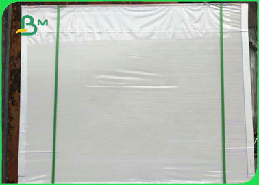 300gm Placa de marfim revestida em PE branco para fazer caixa de alimentos 50 * 70cm