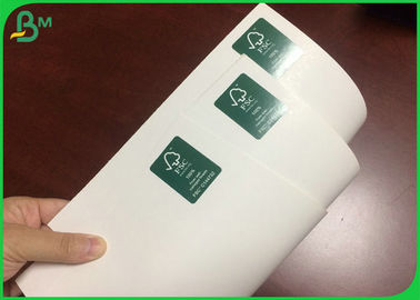 300GSM 610*860MM Cor Branca C1S Painel de Marfim para Fabricação de Caixa Posivel