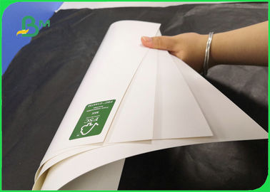 Cartão FBB revestido para embalagens de meias invisíveis 350GSM 400GSM