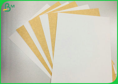 Amostragem grátis suportado 250g 325g 365g cartão de papel Kraft revestido para caixa de alimentos