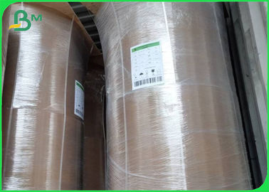 Rolo de Papel Kraft de Bambú Ecológico 50GSM - 250GSM