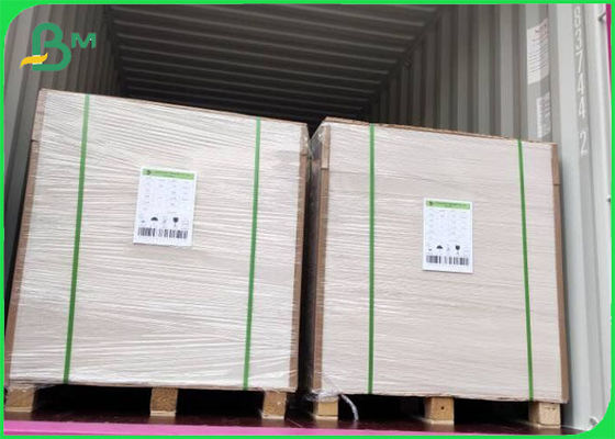 Papel de marfim FBB revestido com pasta virgem 305g / 345g Impressão offset