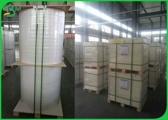 as crianças resistentes de Rich Mineral Stone Paper For do rasgo de 168g 300g 200um registram não - tóxico