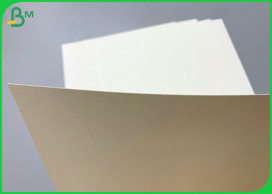 O PE habilitado do GV 230g 260g revestiu o rolo de papel baixo de Cupstock 850mm