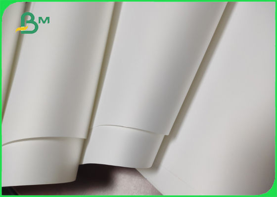 100% árvore - papel sintético reciclável livre para etiquetas das etiquetas