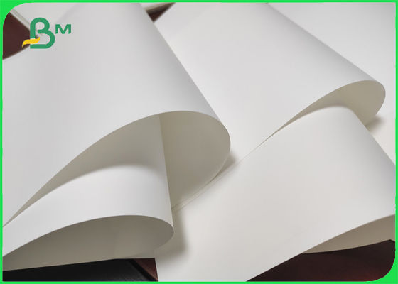 100% árvore - papel sintético reciclável livre para etiquetas das etiquetas