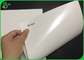 A placa de papel baixa do copo de ECO 210 230 Grammages revestiu o polietileno para o copo de papel