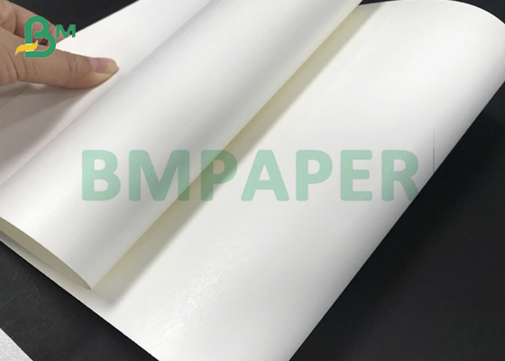 250gsm 300gsm + de caixa de 15PE C1S C2S rolos brancos para copos de papel descartáveis