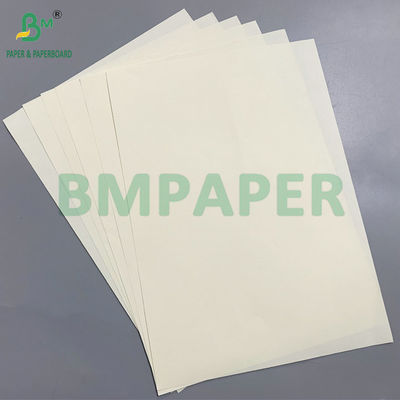 Pulpa de madeira Eco-friendly 70g/80g/100g Marfim Papel sem madeira Eco-friendly