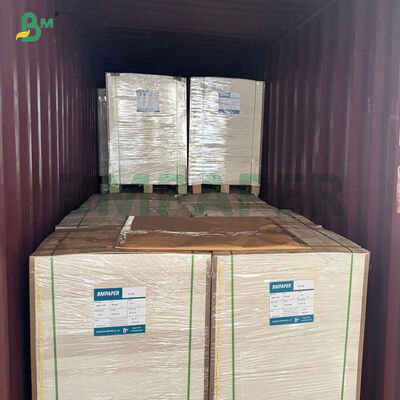 100% Polpa de Madeira Virgem 280gsm 300gsm Cartão Kraft Branco Revestido para Embalagens de Alimentos
