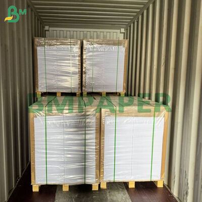 GC4 Revestido Kraft Back Paperboard Grau alimentício para cartão de bolo 250g 300g