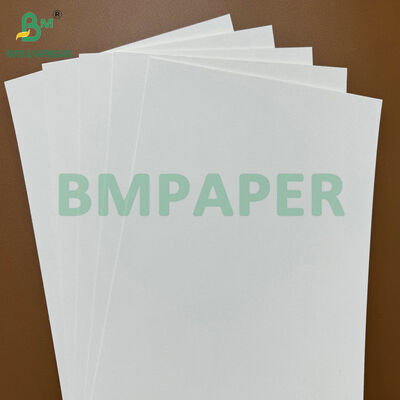 200gsm base de montanha-russa absorvente ecológica de papel absorvente para fabricação de tapetes de cerveja e copos